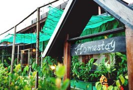 Homestay là gì? những đặc điểm nổi bật của loại hình Homestay