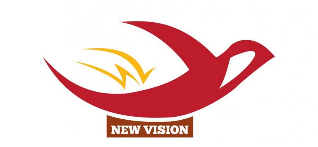 Logo chủ đầu tư New Vision